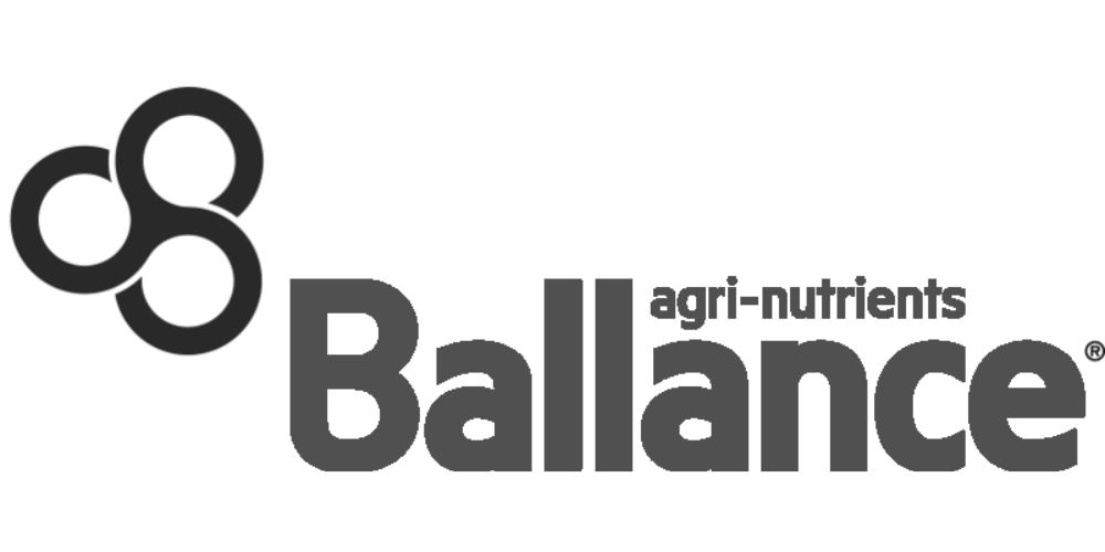 BALLANCE_WHITE